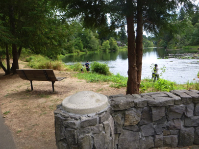 Most of the benches in the park are surrounded by natural surface